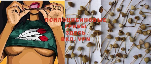 гидропоника Вяземский