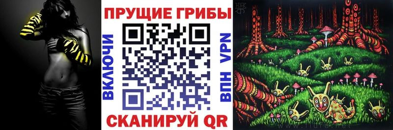 Купить где Порхов Галлюциногенные грибы ЛСД